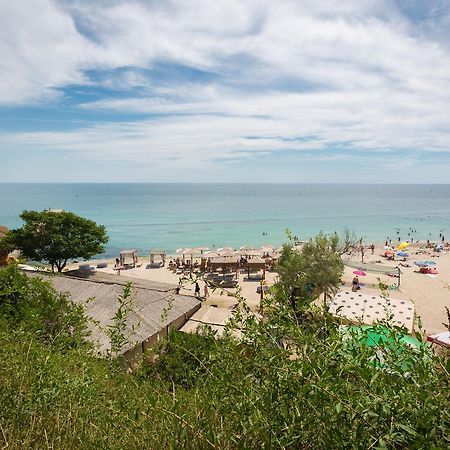 Steller Hostel & Camping Odessa Exterior photo